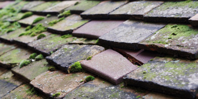 Grendon Underwood roof repair costs